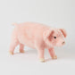 Large Standing Pig