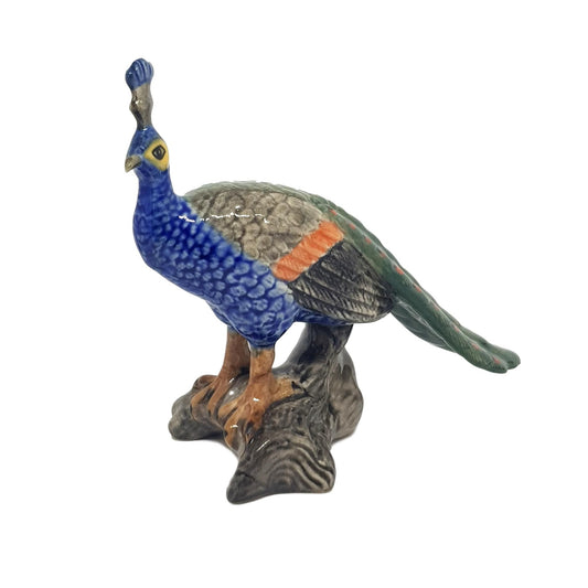 Peacock on Log